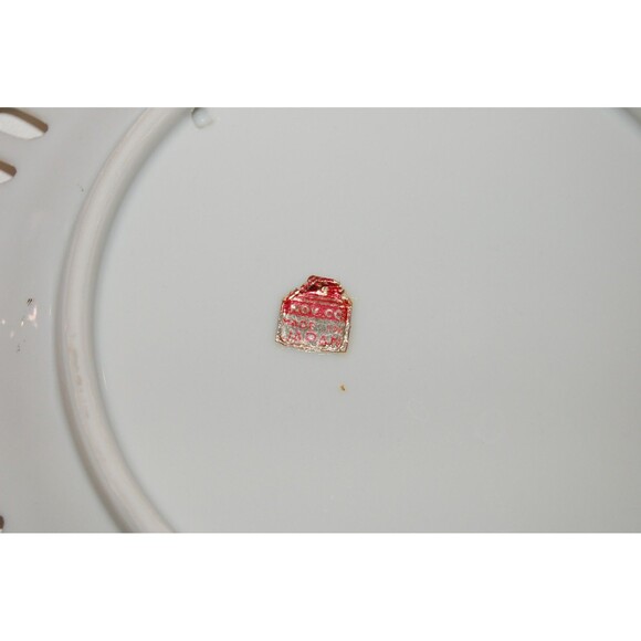 WISCONSIN VINTAGE SOUVENIR PLATE LAKE GENEVA RIVIERA YERKES OBSERVATORY LIBRARY - Picture 5 of 5